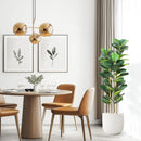 The Evergreen Statement | 5-7ft Artificial Fiddle Leaf Fig Tree