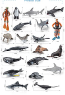 20Pcs Mini Marine Animals Diver Figures Set PVC Killer Sperm Blue Whale Dolphin Figurines Model Educational Toy For Kids