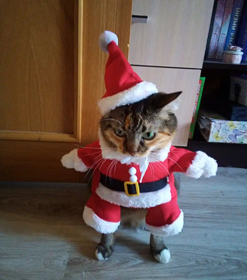 Cat Christmas Costume Clothes Winter Hooded Jacket Puppy Coat Santa Outfits Pet Kitty Xmas New Year Dressing Up Party Gift