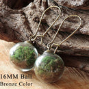 2 Paare 16MM Glaskugel Löwenzahn Samen Ohrringe Öko Ohrring Botanischer Schmuck Natur Echte getrocknete Blumen Ohrhänger für Frauen