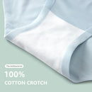 3Pcs/lot Summer Ice Silk Seamless Underwear Women's Panties Cotton Crotch Girl Triangle Shorts Ultra-Thin & Breathable Lingerie