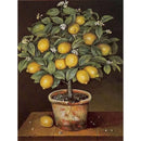 GATYZTORY Classical Painting By Numbers Flowers Coloring By Numbers For Adults Canvas Painting Diy Crafts Wall Art Pictrue Paint