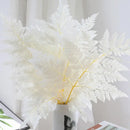 10pcs Preserved Natural Real white Arachniodes Leather Leaf Fern Fresh Fern Leaves Preserved flowers Plants Christmas Decoration