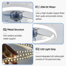 Ceiling Fan with Lamp Remote Control Nordic Modern Lights Fan Indoor Lighting For Living Room Bedroom Kitchen