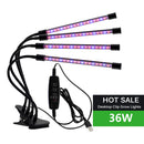 DC5V/12V LED Grow Light USB Phyto Lamp Full Spectrum Fitolampy With Control For Plants Seedlings Flower Indoor Fitolamp Grow Box