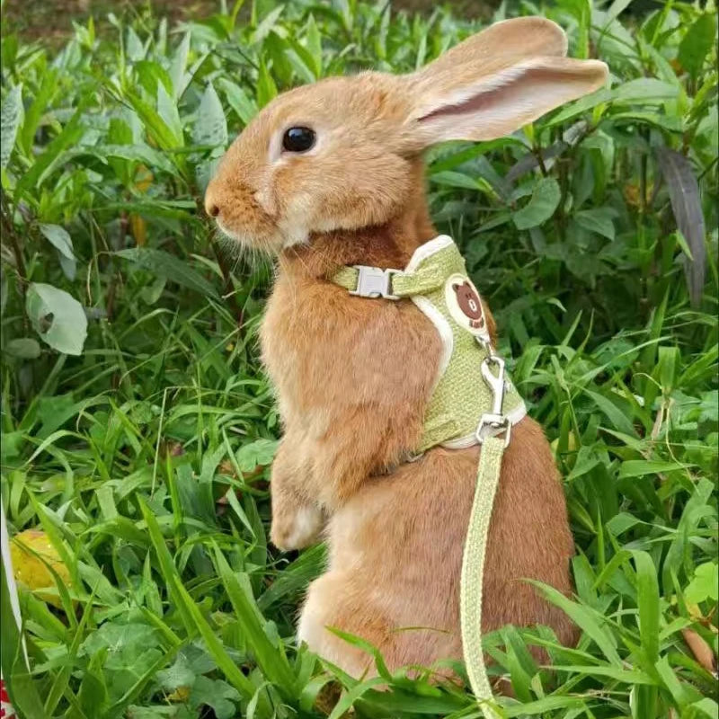 Cute Rabbit Harness and Leash Set Bunny Pet Accessories Vest Harnesses Rabbit Leashes for Outdoor Walking Newest Pets Supplies