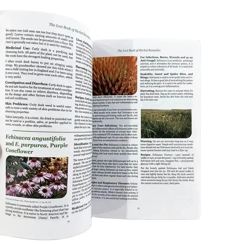 The Lost Book Of Herbal Remedies English Book The Healing Power Of Plant Medicine Powerful Natural Remedies