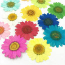 DIY Epoxy Resin 12Pcs Natural Flower Pressed Dried Nail Craft Phone Decoration