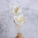 1PC Natural Dried Tongcao Flower Aromatherapy Oil Diffuser Sticks Air Freshener Rattan For Home Decoration