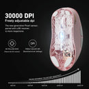 LAMZU Atlantis Mini Gaming Maus, Champion Edition (3950 IC, 8K kompatibel)