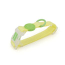 Transparent Buckle Collar Candy Color Pet Cat Dog Collars Leashes For Small Medium Dogs