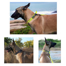 Truelove Pet Collar Waterproof  Anti-Odor Durable Adjustable PVC Polyester Soft Reflective Cloth Stripe Basic Dog Collar TLC5521