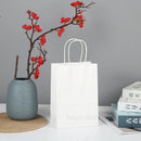 The Brown Standard | Premium Kraft Gift Bags with Handles (10-Pack)