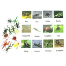 24Pcs/Set Montessori Toys for 3 Year Flash Cards Animals Matching Learning English Kids Early Educational Practical Life
