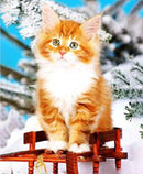 Diamond Embroidery Paintings Full Square/round Elegant Cat Purple Hat Flower Dog Animal Cross Stitch Kit Mosaic Home Decoration