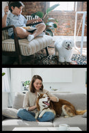 The Invisible Boundary | 2-in-1 Wireless Pet Fence & Training Collar