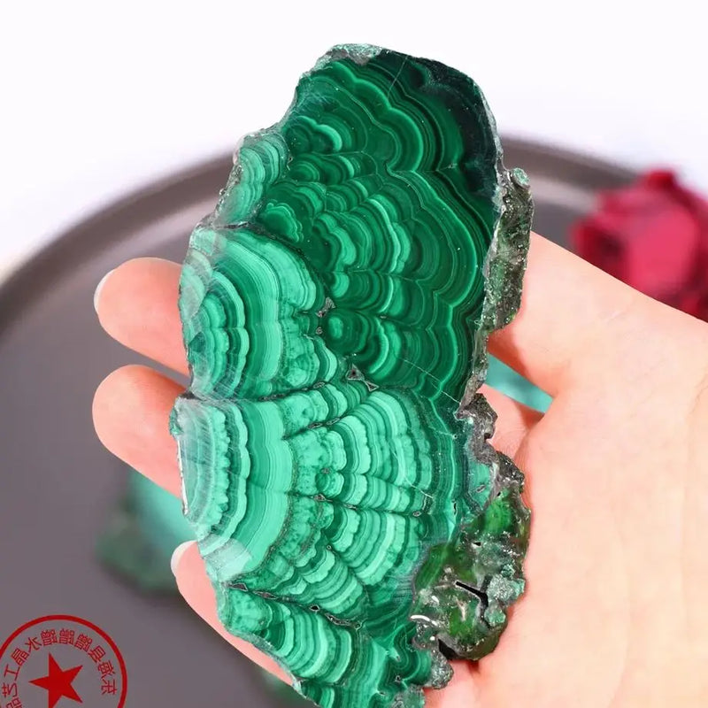 New product Natural Green Malachite Slices Polished Mineral Specimens Rough Quartz Crystal Sheeting Healing Stone Garden Decor