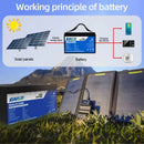 The Power Vault | 12V/24V LiFePO4 Battery 100-300Ah with Built-in BMS for Solar & RV