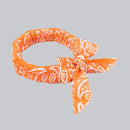 10 pcs Ice Cooling Wrap Scarf Cooling Bandana for Neck Cooling Scarves for Men and Women Outdoor Activities