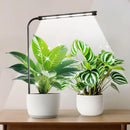 The Sunthread | 48-LED Full-Spectrum Grow Light with Auto Timer
