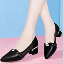 45437001859295|45437002186975|45437002481887|45437002645727|45437002875103|45437003038943|45437003235551