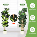The Evergreen Statement | 5-7ft Artificial Fiddle Leaf Fig Tree