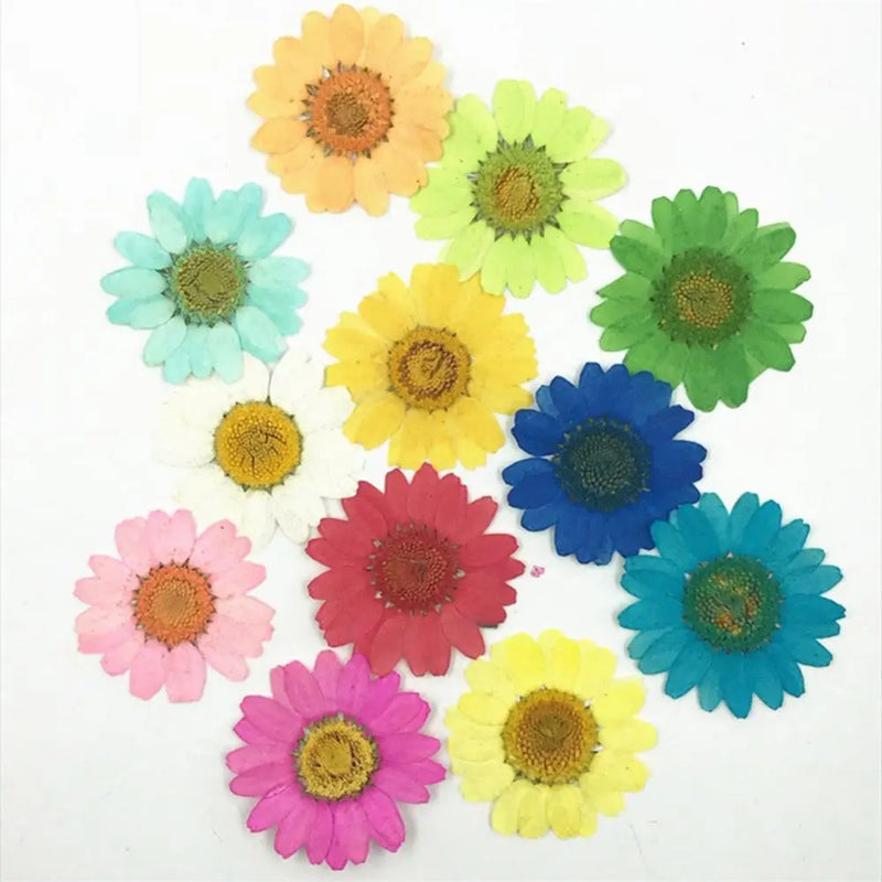 DIY Epoxy Resin 12Pcs Natural Flower Pressed Dried Nail Craft Phone Decoration