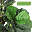 The Evergreen Statement | 5-7ft Artificial Fiddle Leaf Fig Tree