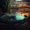 Reptilien-Futter- und Trinkschale, automatische Wasserspender für Schildkröten und Schlangen