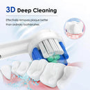 The Circadian Brush | Rotation-Type Sonic Electric Toothbrush IPX7 USB Rechargeable