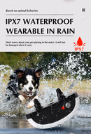 The Invisible Boundary | 2-in-1 Wireless Pet Fence & Training Collar