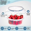 The Freshness Archive | 12-Piece Airtight Refrigerator Storage Set