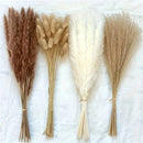 The Meadow Whisper | Bohemian Pampas Grass Bouquet