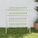 Bymaocar Hydroponic Grow Kit, 36 Löcher, 4 Röhren, erdelose Pflanzenzuchtsysteme, Tiefwasserkultur-Garten mit Pumpe