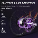 Varstrom x SUTTO 36V 250W Rear Hub Motor Disc Brake Cassette Kit With 13Ah 24Ah Battery Kits Ebike Electric Bike Conversion Kits