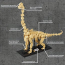 1225-teiliger 4-in-1-Jurassic-Dinosaurier-Skelett-Fossilien-Bausatz T-Rex Stegosaurus Triceratops Bausteine Spielzeug für Kinder Jungen Geschenk