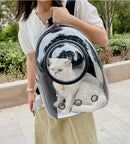 Transparent Cat Carrying Bags Space Breathable Pet Backpack Portable Puppy Dog Backpack Transport Carrier Space Capsule Bag Pets