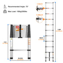 The Skyline Reach | Stainless Steel Telescopic Ladder, 150 kg Rated