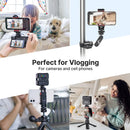 The Rig Anchor | Ulanzi ST-06S Dual Cold-Shoe Phone Mount