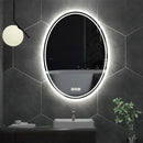 LUVODI 60x80cm Oval Bathroom Mirror LED Backlit Wall Vanity Mirror for Bathroom Bedroom Salon