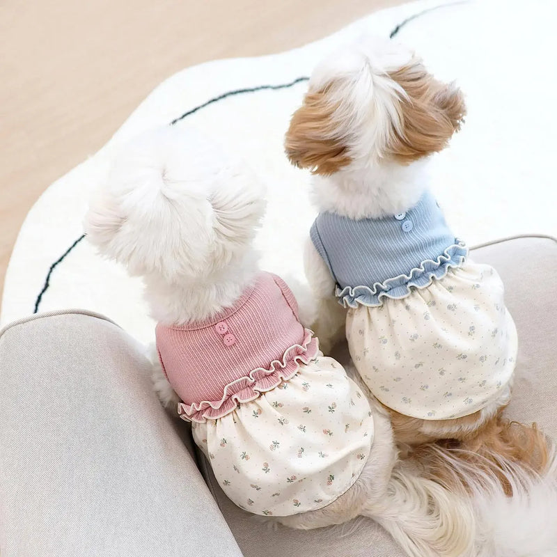 New Winter INS Small Scarf Floral Bubble Skirt Vest Dog Cat Home Clothes Pet Clothes Scarves Dog Clothes Designer Floral Lace