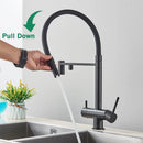 The Cascade | 2-in-1 Filtered Water Kitchen Faucet with 360° Pull-Down Sprayer