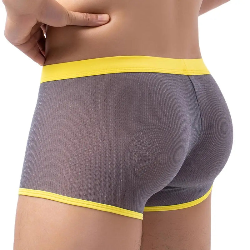 Men's Underwear Boxers Sexy Mesh Transparent Boxer Shorts Low Waist Breathable Panties Boxer for Man