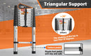 The Skyline Reach | Stainless Steel Telescopic Ladder, 150 kg Rated