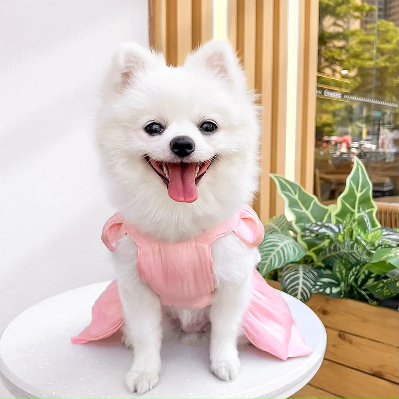 Summer Pet Dog Skirt Puppy Striped Butterfly Skirt Princess Baby Dog Wedding Midi Dress Cat Skirt Shih Tzu Dog Clothes for Party