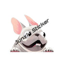 45340883714271|45340883747039|45340883812575|45340883845343|45340883910879