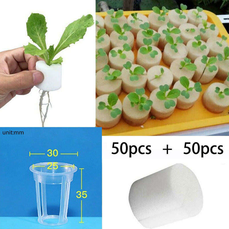 50pc Hydroponic Planting Basket Balcony Vegetable Soilless Cultivation Equipment Plant Net Cups With Oil-free Hydroponic Sponge