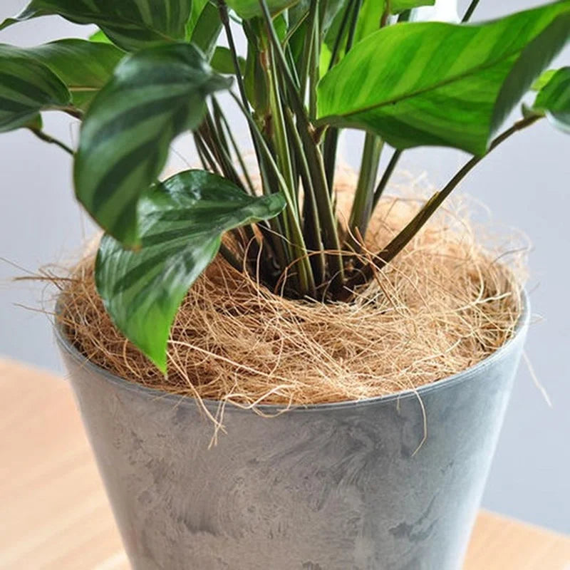 200g Natural Coconut Husk Fiber Flowerpot Cover Craft Insect-proof Protect Flower Plant Soil Keep Warm Reptile Bedding Bird Nest