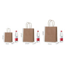 The Brown Standard | Premium Kraft Gift Bags with Handles (10-Pack)