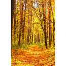 Autumn Landscape Backdrop Fall Forest Maple Fallen Leaves Nature Scenery Harvest Thanksgiving Portrait Photography Background